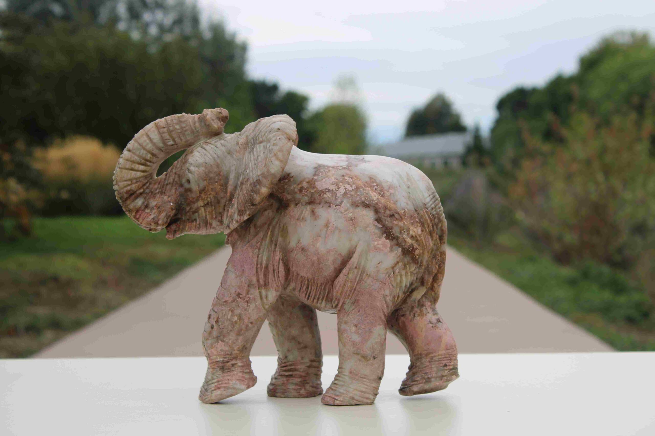 Pink Elephant