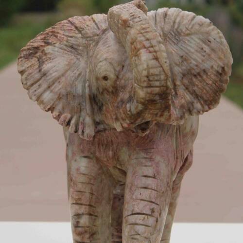 Pink Elephant