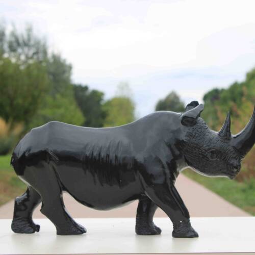 Run-Rhino-Run